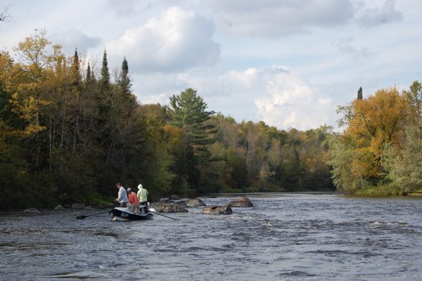 Musky Fly Fishing Wisconsin