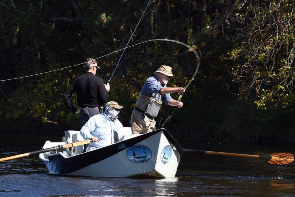 Musky Fly Fishing Wisconsin