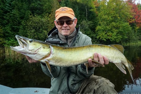 Musky Fly Fishing Wisconsin