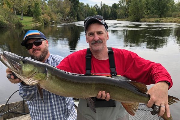 Musky Fly Fishing Wisconsin