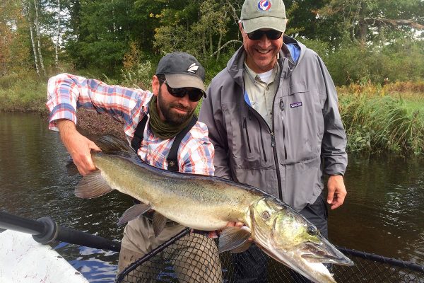 Musky Fly Fishing Wisconsin