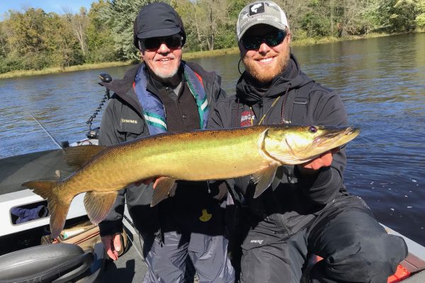 Musky Fly Fishing Wisconsin