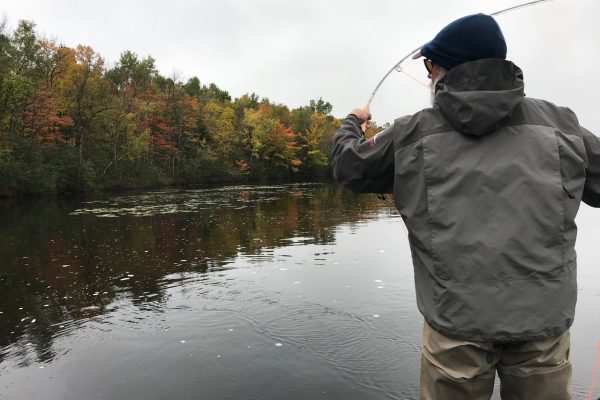 Musky Fly Fishing Wisconsin