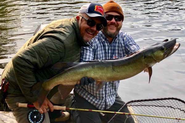 Musky Fly Fishing Wisconsin