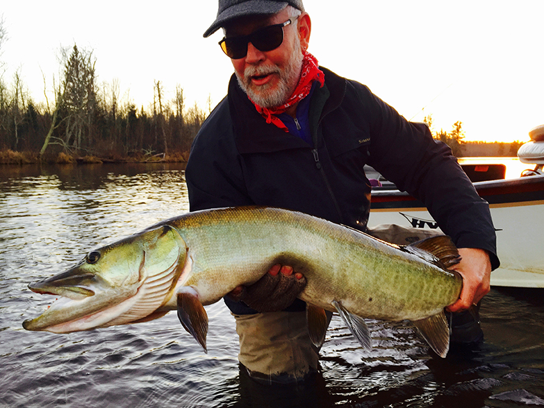 Musky Fly Fishing Wisconsin