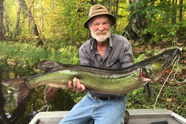 Musky Fly Fishing Wisconsin