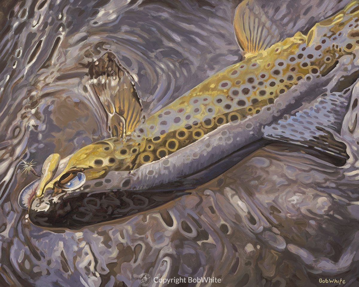Color and Light Reflected - Brown Trout Print - BobWhite Studio