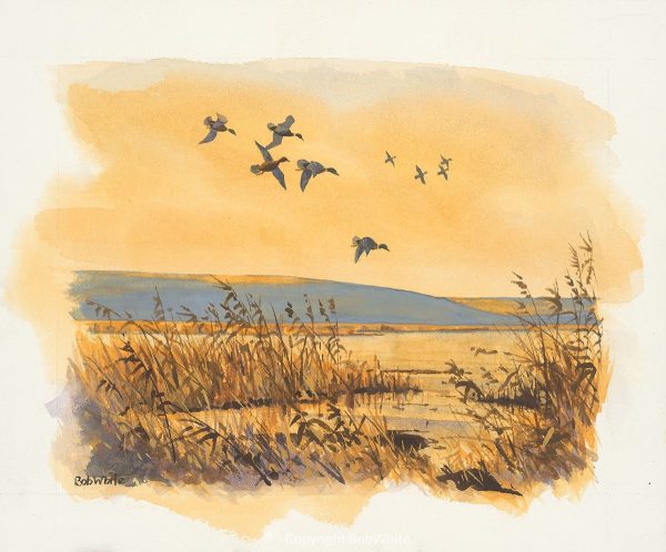 Evening Marsh