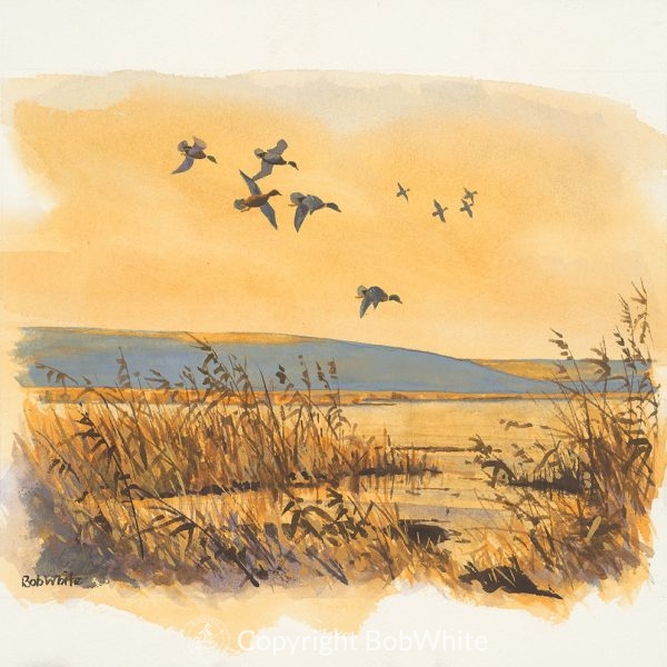 Evening Marsh