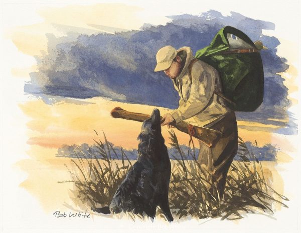Evening on the Marsh