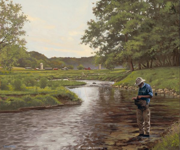 20% Discount on Limited Edition Fine Art Prints