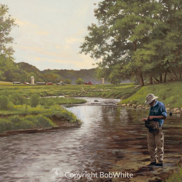 20% Discount on Limited Edition Fine Art Prints