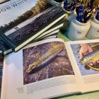 The Classic Sporting Art of Bob White - SIGNED - Image 2