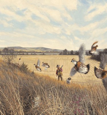 Wingshooting Originals Sale