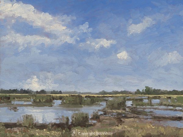 Argentine Marsh - Plein Air Oil Painting