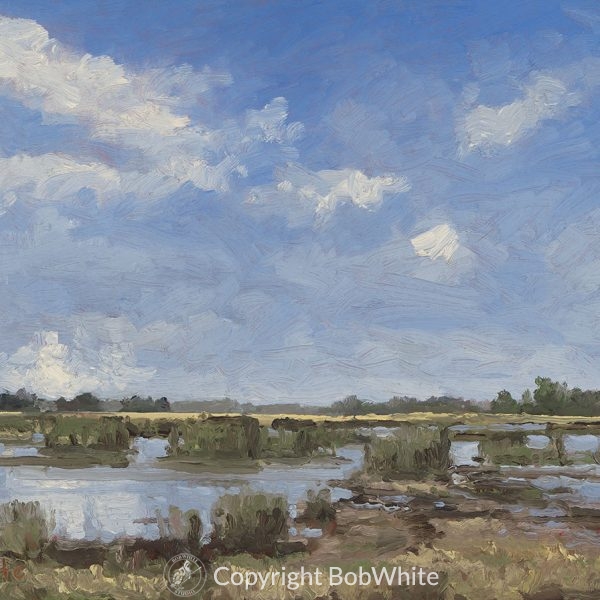 Argentine Marsh - Plein Air Oil Painting