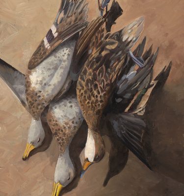 Argentine Still Life Ducks Oil Painting