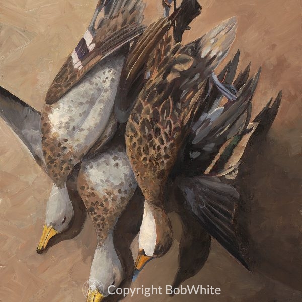 Argentine Still Life Ducks Oil Painting