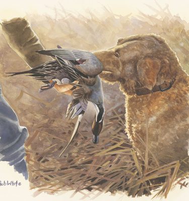 At Days End Duck Hunting Painting