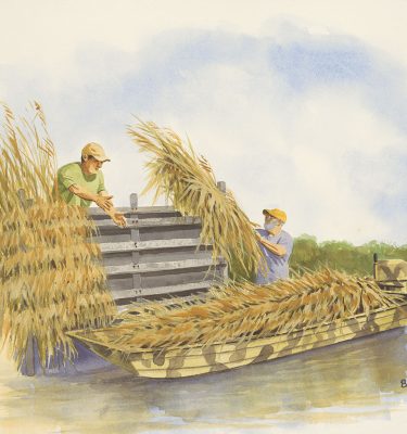 Late Summer Chores Duck Hunting Painting