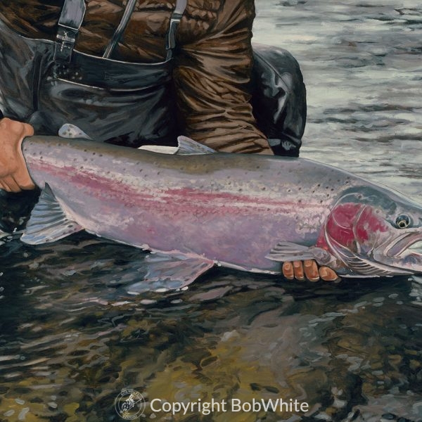 Steelhead Rainbow Trout Print