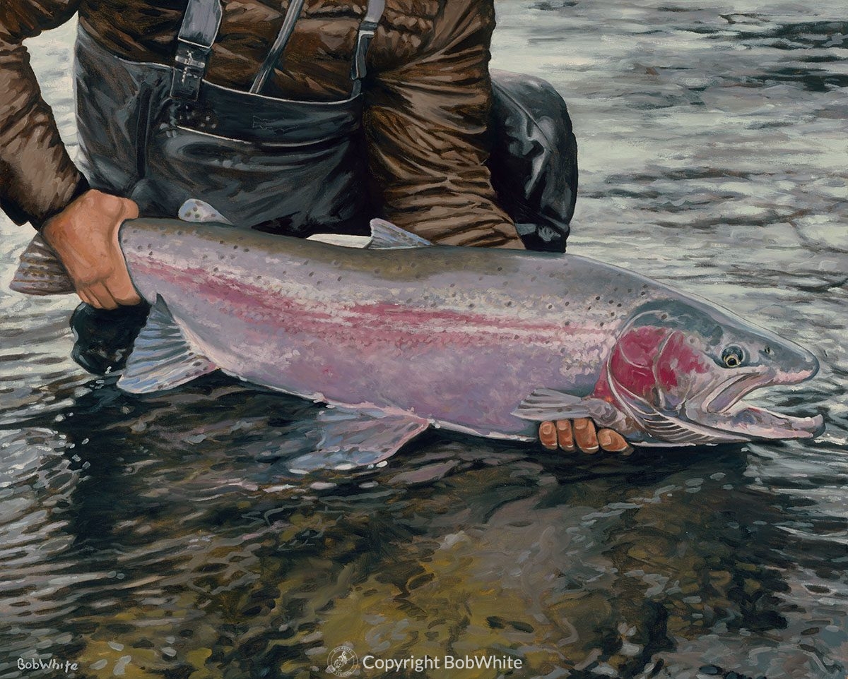 Steelhead on the Beach by Calvin McShane – Salmon Trout Steelheader