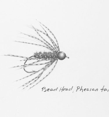 Bead Head Pheasant Tail Soft Hackle Drawing