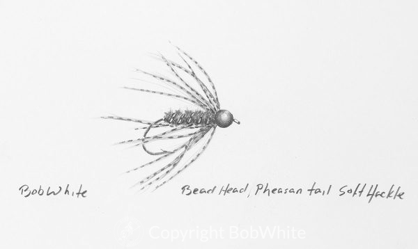 Bead Head Pheasant Tail Soft Hackle Drawing