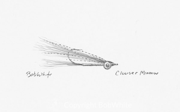 Clouser Minnow Fly Drawing