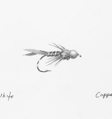 Copper John Fly Drawing