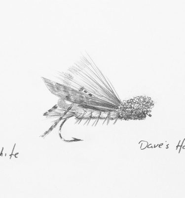 Daves Hopper Fly Drawing