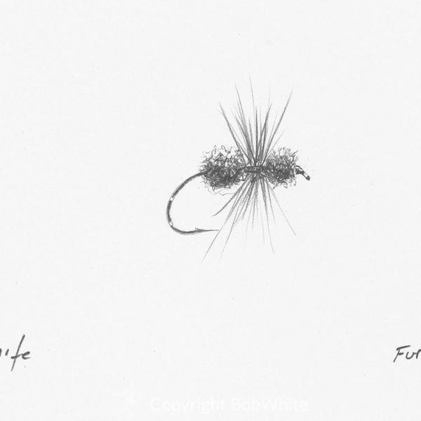 Fur Ant Fly Drawing