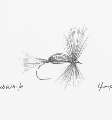 Humpy Fly Drawing