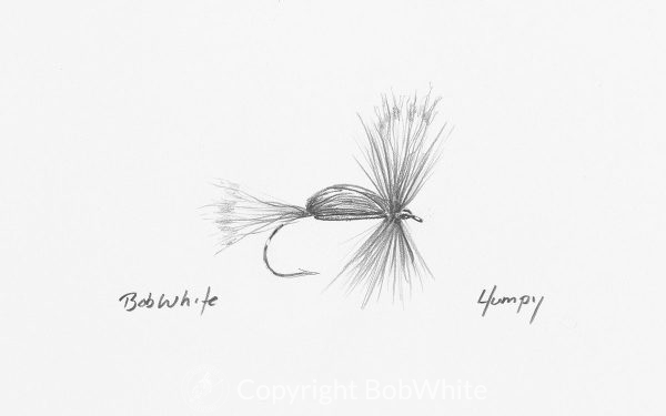 Humpy Fly Drawing