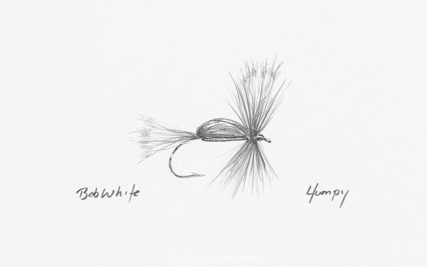 Humpy Fly Drawing