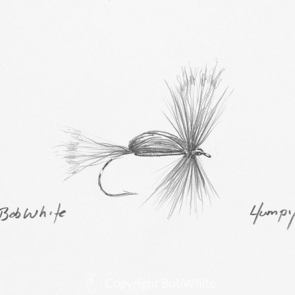 Humpy Fly Drawing