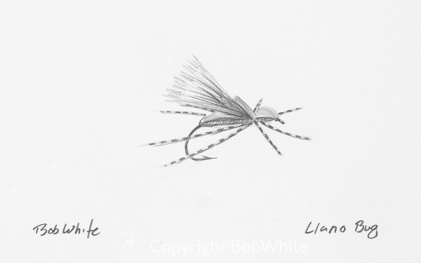 Llano Bug Fly Drawing
