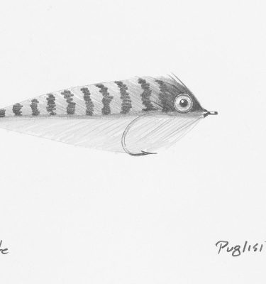 Puglisi Mackerel Fly Drawing