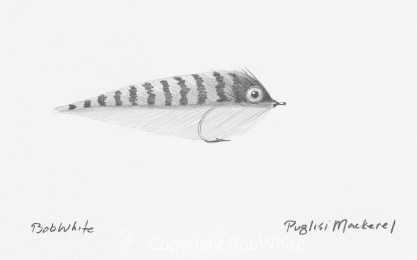 Puglisi Mackerel Fly Drawing