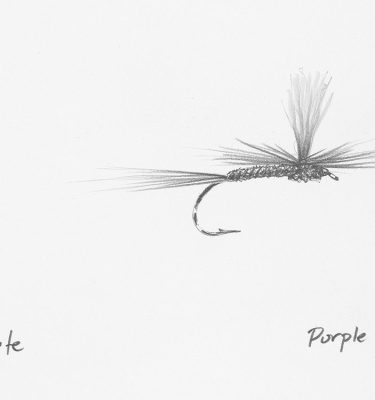 Purple Haze Fly Drawing
