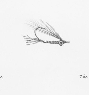 The Gotcha Fly Drawing