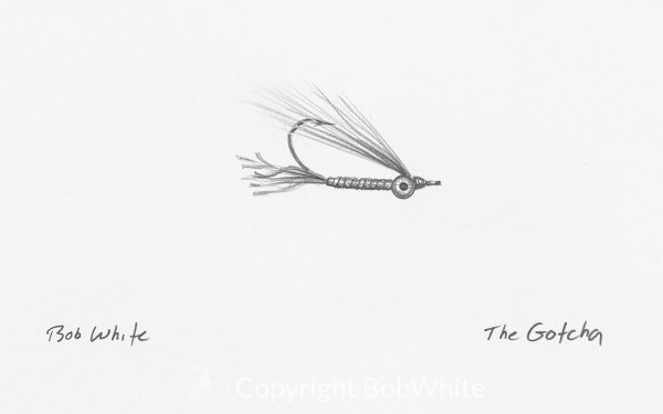 The Gotcha Fly Drawing
