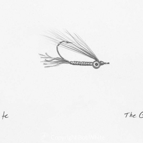 The Gotcha Fly Drawing