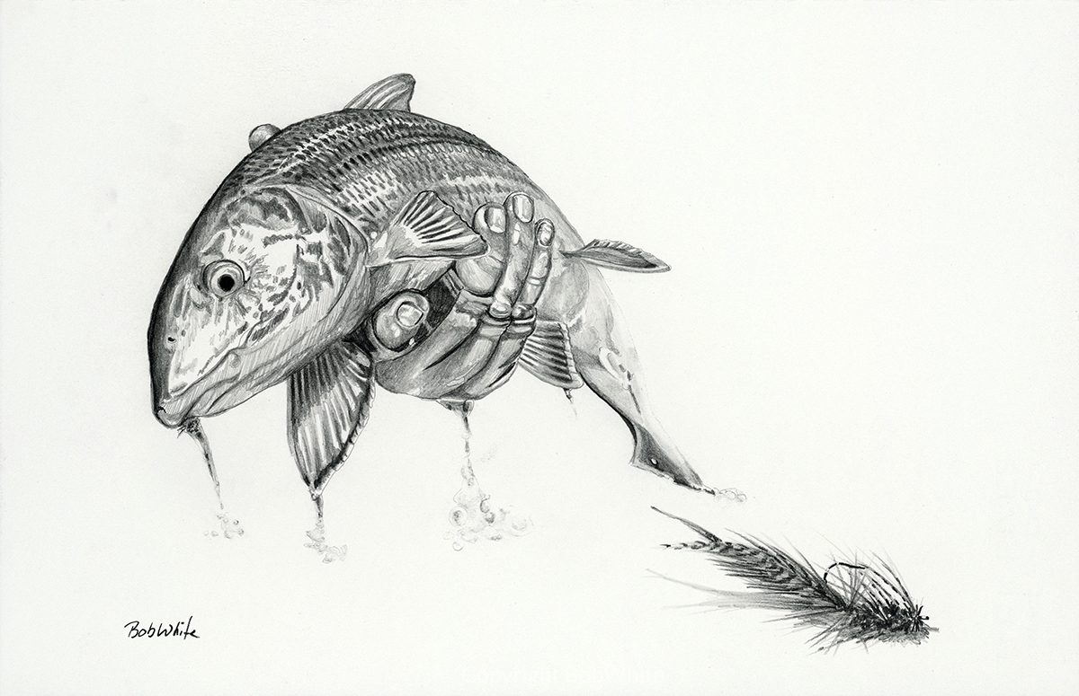 Bonefish Pencil Drawing BobWhite Studio