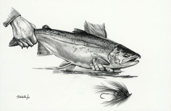 Pacific Salmon Pencil Drawing