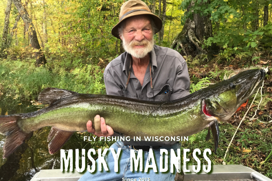 Musky Fly Fishing Wisconsin