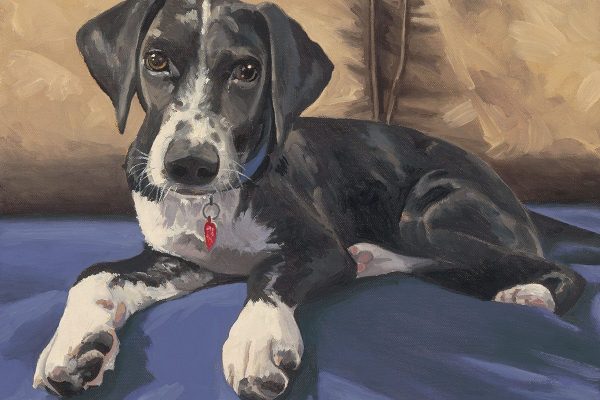Basil in Repose - Oil on Canvas