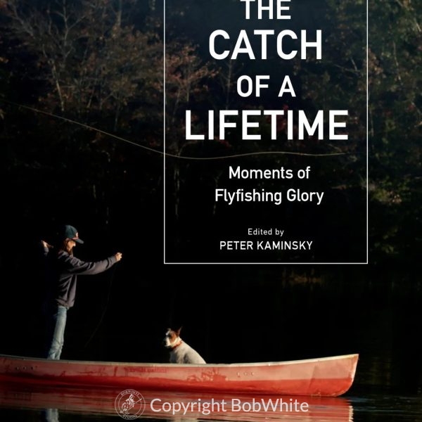 https://www.bobwhitestudio.com/store/wp-content/uploads/2023/09/The-Catch-of-a-Lifetime-600x600.jpg