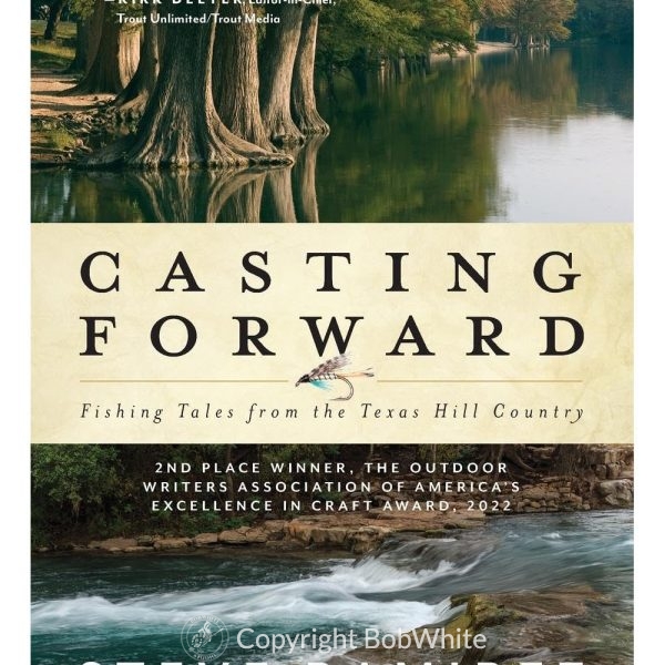 Casting Forward by Steve Ramirez