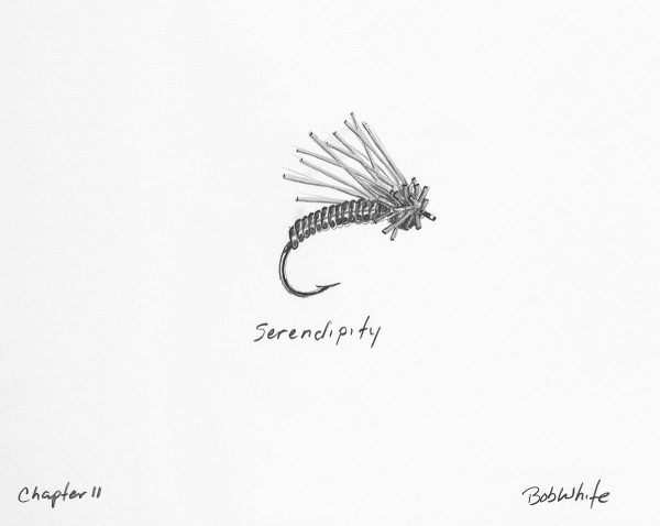 Serendipity